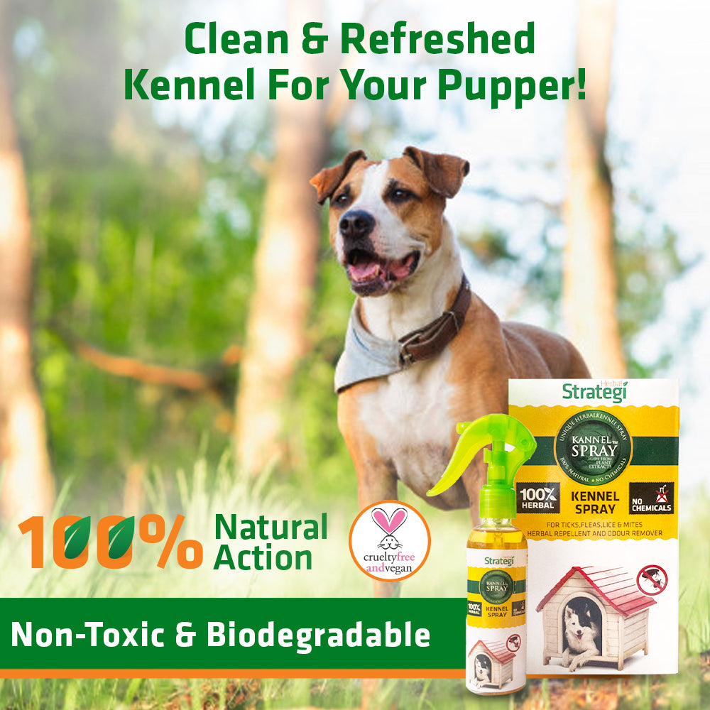 Buy Natural Tick and Fleas Spray for Kennel Online In India