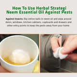 Herbal Neem Essential Oil | Product Size: 50ml, 15ml