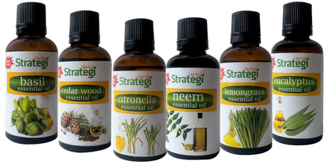 Natural Essential Oils (Pack of 6) - Herbal Strategi